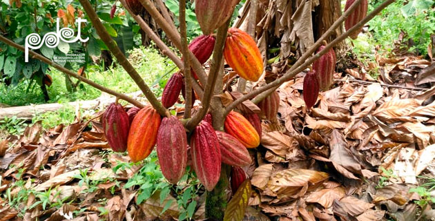 ART entregó proyectos estructurado por 24.759 millones para municipios PDET